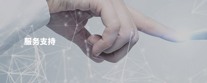 服務支(zhī)持